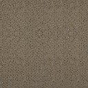 Ковролин Зартекс Eternity 145 Миндальный  | FLOORDEALER